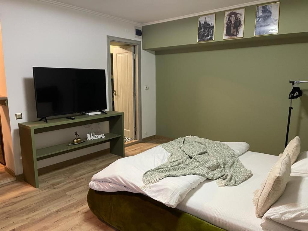 Magic Green Studio Hunedoara Daire Dış mekan fotoğraf